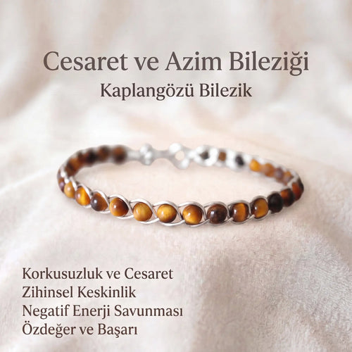 Kaplangözü Gümüş